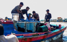 Bình Thuận lũ rút chậm, người dân gượng dậy sau hai 'đòn nước' dữ