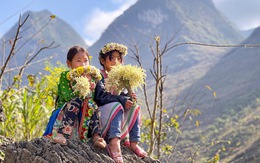 Cao nguyên đá Đồng Văn nhận giải thưởng 'Điểm đến khu vực hàng đầu thế giới'