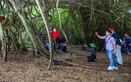 Tây Ninh mới: một trục, một dòng chảy