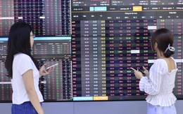 Gần 500 mã giảm giá, cổ phiếu Vingroup cũng không kéo nổi thị trường