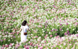 Vì sao sóng dữ có thể ập vào hôn nhân?