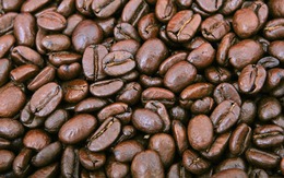 Giá cà phê tăng cao, tỉ phú nông dân vẫn quyết ghim hàng