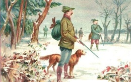 Thử tài tinh mắt: 3 con thỏ lẩn trốn ở đâu?