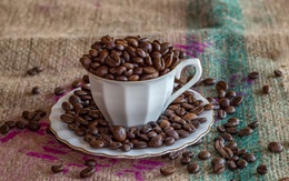 Người trẻ có nên sử dụng đồ uống có caffeine?