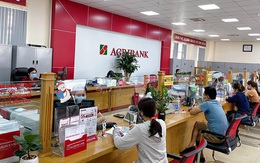Agribank đẩy mạnh cho vay sản xuất, kinh doanh lúa gạo