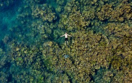 Hòn Sơn Chà vừa được Đà Nẵng tiếp nhận từ Huế có tiềm năng du lịch như thế nào?