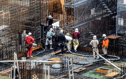 Nhật Bản thông qua cơ chế mới thay thế chương trình thực tập sinh quốc tế