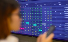 'Ông lớn' Dragon Capital bị phạt vì mua bán cổ phiếu HDB không báo cáo