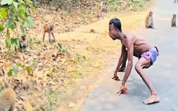 Chàng trai múa võ vượn khiến đàn khỉ bỏ chạy tán loạn