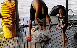 Bé trai nhảy nhót sung sướng khi bố quăng chài bắt được cá to