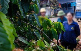 Công an xác minh vụ bắt công nhân đóng bảo hiểm bằng cà phê