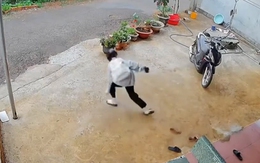 'Lăng ba vi bộ' phiên bản lỗi