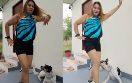 Bị chó táp khi nhún nhảy làm màu