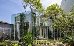 Ngôi nhà của 'những người bạn thực vật' ở Huế trên tạp chí kiến trúc thế giới