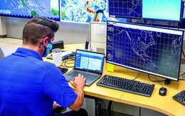 Nếu không còn 'cánh chim báo bão'