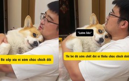 Chú chó nhõng nhẽo siêu đáng yêu