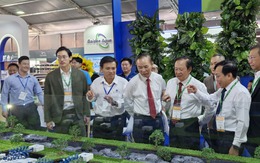 Xuất khẩu tôm đạt hơn 4 tỉ USD