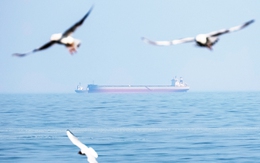 Ông Trump phá thế bí Nga - Ukraine