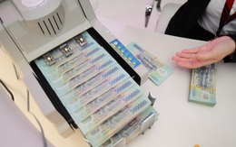 Nữ chủ tịch U90 tại một công ty ở TP.HCM thu nhập khủng, bỏ xa nhiều sếp ngân hàng