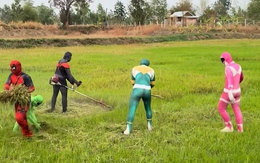 6 thanh niên hóa trang thành siêu nhân ra đồng gom cỏ