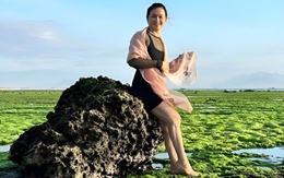 Mê mẩn cánh đồng rêu xanh tuyệt đẹp ở Ninh Thuận