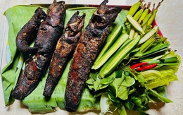 Về miền Tây nướng cá lóc đồng