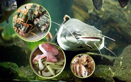 Chỉ vì cái tội 'da trơn'