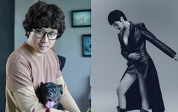 Tưởng Trấn Thành đóng Khi cuộc đời cho bạn quả quýt; Sự nghiệp chướng biến mất khỏi trending