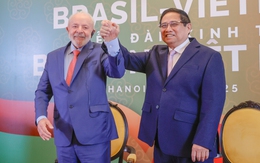 Việt Nam vừa cấp phép, Brazil đầu tư ngay nhà máy chế biến thịt bò để thâm nhập ASEAN