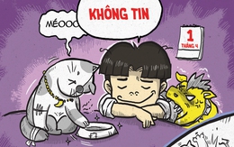 Ngày Cá tháng tư của một người hướng nội