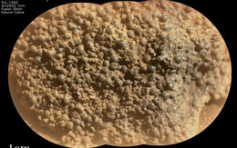 Tàu thăm dò NASA phát hiện tảng đá bí ẩn trên sao Hỏa