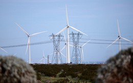 Reuters: Mỹ rút khỏi hợp tác chuyển đổi năng lượng với các nước đang phát triển