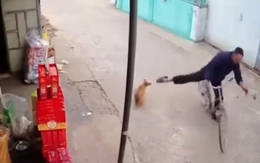 Chàng trai ngã sấp mặt vì trêu chó