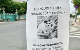 Ảnh vui 1-4: Trò chơi khăm của ngày Cá tháng tư