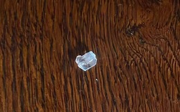 Dựng vở kịch công phu để ăn quỵt nhà hàng