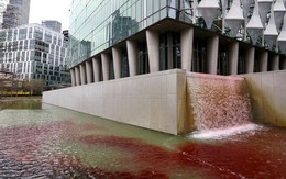Hồ nước tại Đại sứ quán Mỹ ở Anh bỗng 'đỏ như máu'