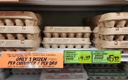 Chiến dịch truy quét người nhập cư gay gắt của ông Trump cản trở nỗ lực ngăn dịch cúm gia cầm?