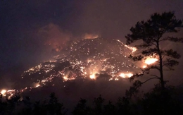 Rừng ở Bình Liêu, Quảng Ninh cháy lớn, lan rộng