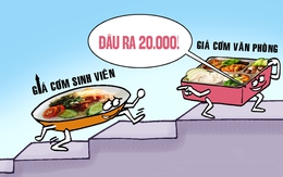 Cơm sinh viên 20.000 đồng đã 'tuyệt chủng'?