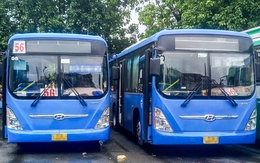 Đình chỉ tiếp viên xe buýt 56 ở TP.HCM tự ý tịch thu thẻ sinh viên