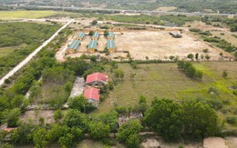 Trạm nhân giống dê cừu rộng 50ha, chỉ nuôi 500 con cừu