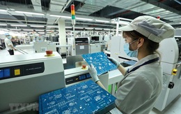 Bộ Công Thương siết truy xuất nguồn gốc, tránh gian lận xuất xứ hàng hóa