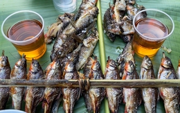 Về đại ngàn Trường Sơn ăn con cá mát