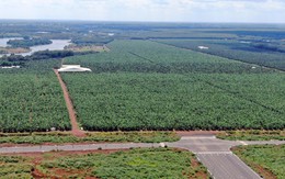 Bình Phước thông qua nghị quyết liên quan dự án cao tốc Gia Nghĩa - Chơn Thành