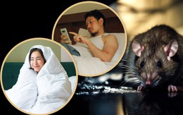 'Người chuột' là từ dùng chỉ ai?