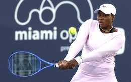 Taylor Townsend: Người mẹ kỳ diệu trong làng quần vợt