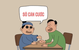 Xem bói theo số căn cước được không?