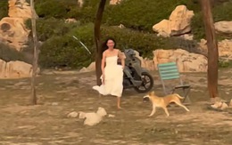 Cô gái bị chó cướp mất dép khi dạo chơi ở công viên đá