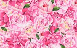 Thử tài tinh mắt: Tìm con bướm trong 7 giây