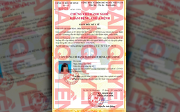 Giả chữ ký phó giám đốc Sở Y tế TP.HCM làm giả chứng chỉ hành nghề khám, chữa bệnh